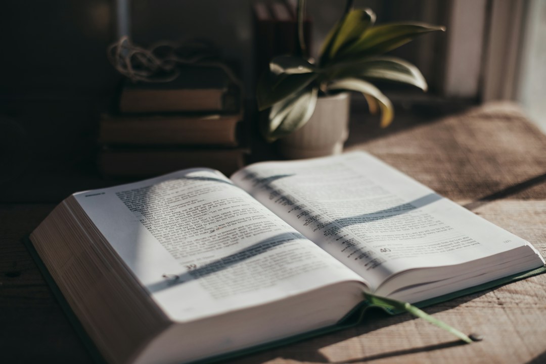An open Bible in warm window light beside a plant